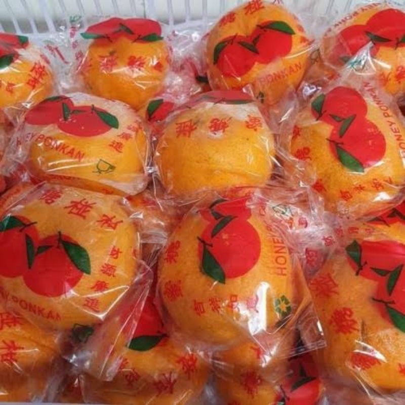 

jeruk ponkam promo termurah