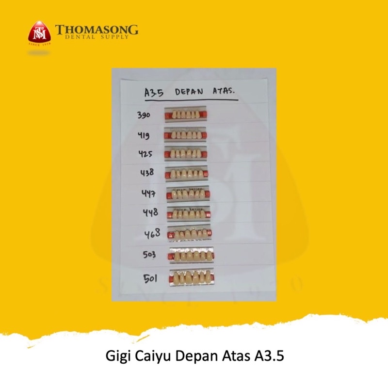 Gigi Palsu Caiyu Depan Atas A3.5