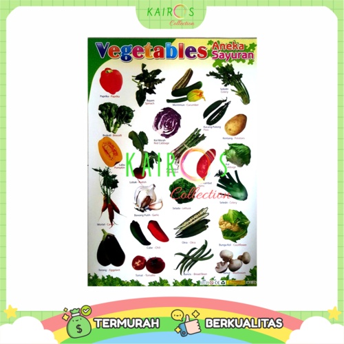 Poster Edukasi Anak Belajar Sayuran Vegetables