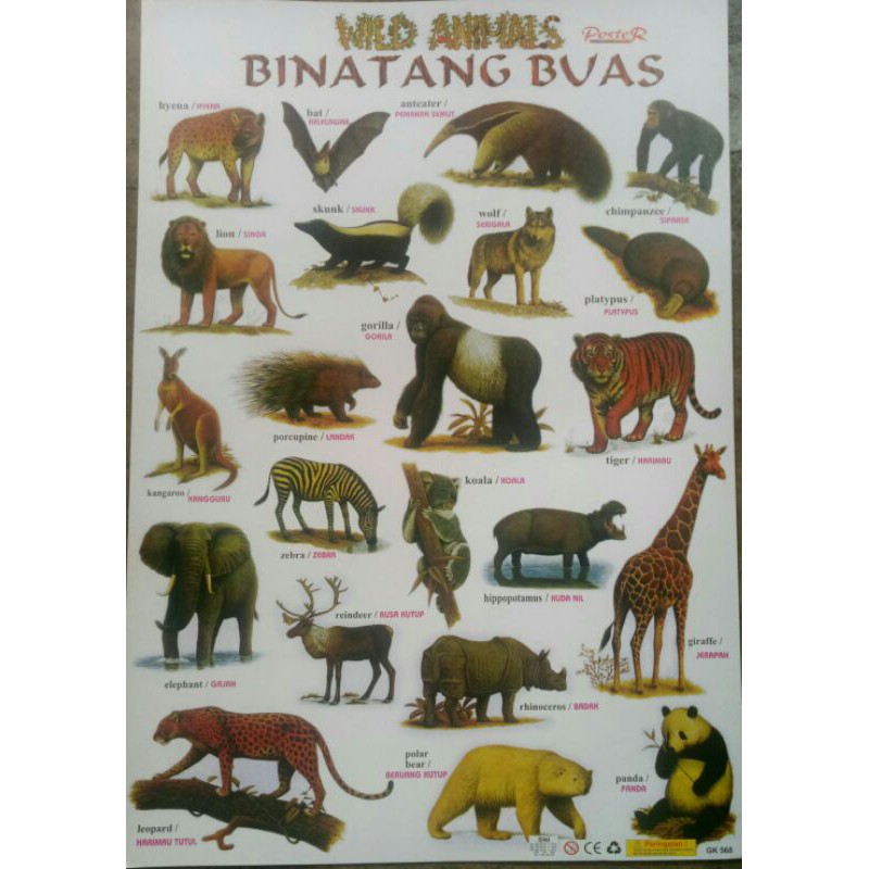 Poster hewan buas / poster edukasi pengenalan binatang buas