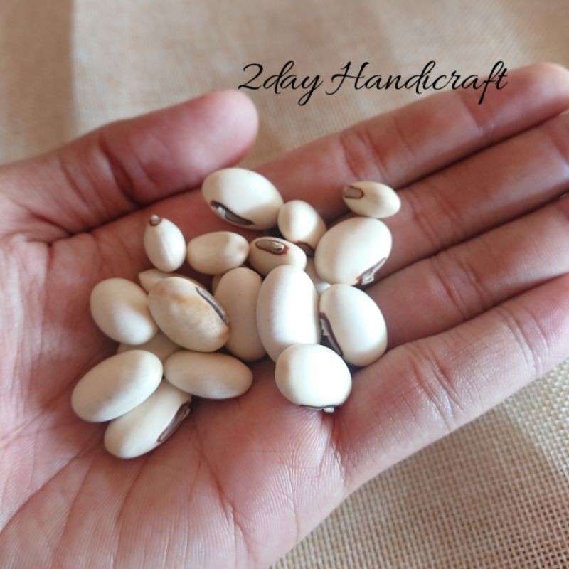 10pcs Biji Koro untuk Kerajinan Tangan Kolase - Biji bijian