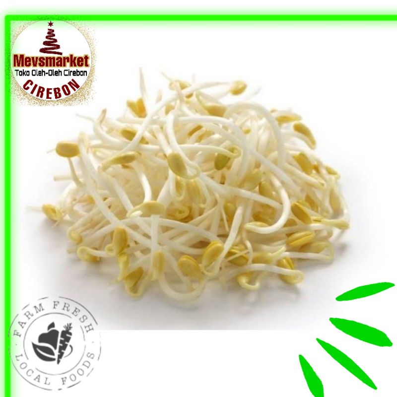 

SAYURHD TOGE TAUGE 100gr SAYURAN SEGAR SAYUR SEGAR