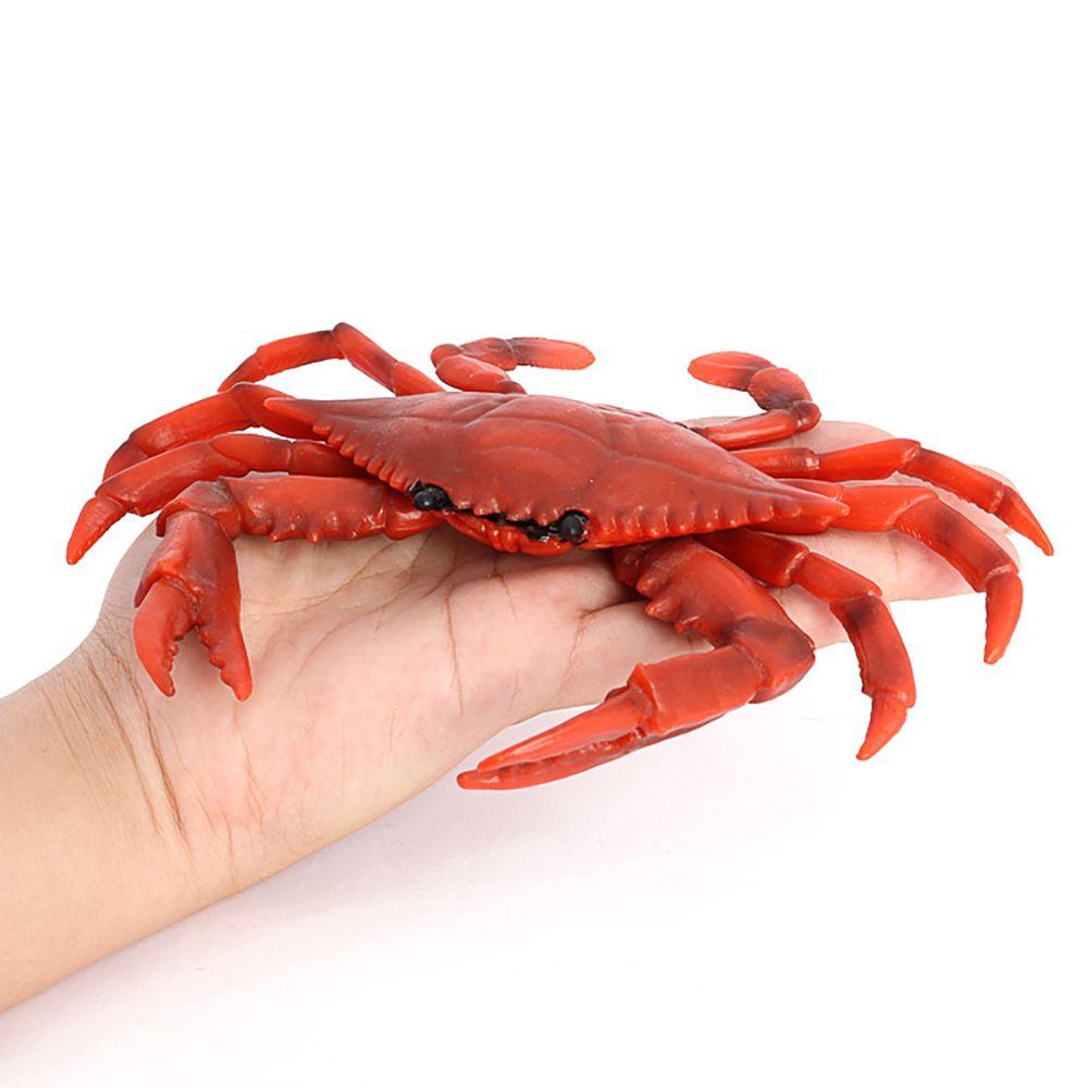 TOP Kepiting Merah Model Realistis Mikro Lanskap Mainan Edukasi Simulasi Kepiting