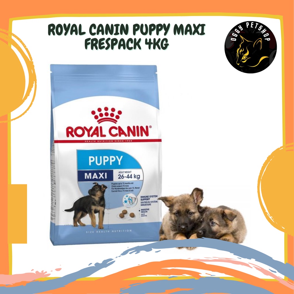 RC Royal Canin Puppy Maxi Makanan Anak Anjing Dry 4kg