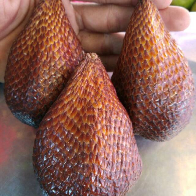 

Salak pondoh super premium 1kg