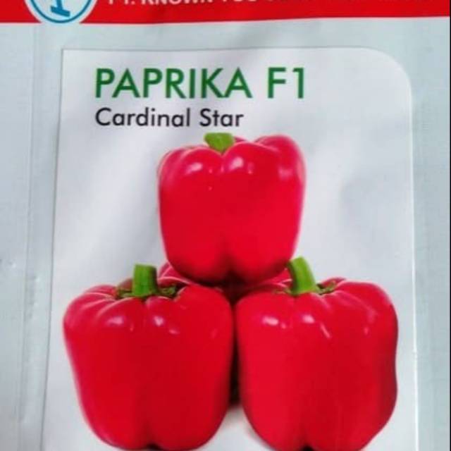 Benih Paprika F1 Cardinal start Know you seed