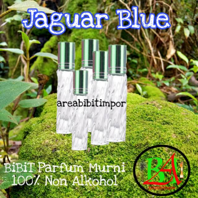 Bibit minyak jaguar blue