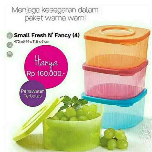 

SMALL FRESH N FANCY 1 PCS
