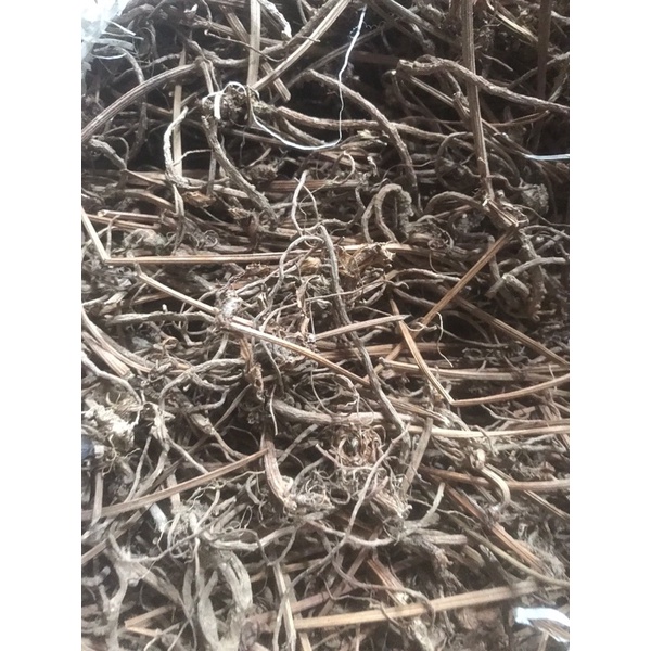 

AKAR PURWOCENG ( 1 kg )