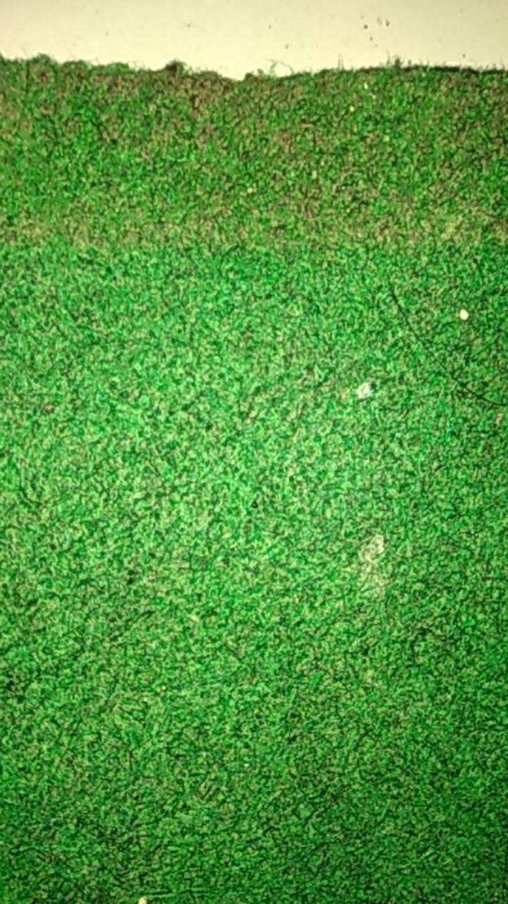 Kunci Laci 808 Kecil Lusinan