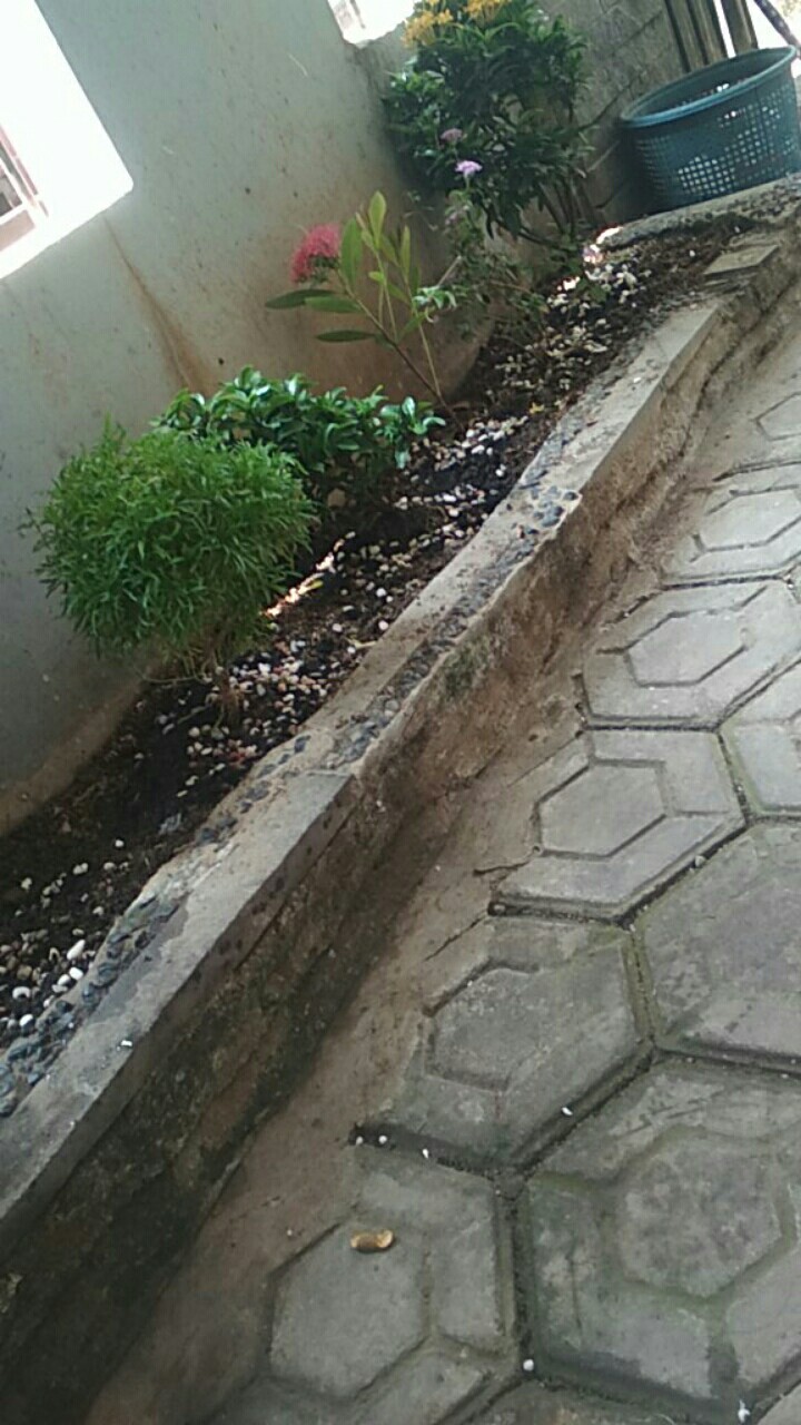 Pupuk Bunga Buah Dekastar Plus Osmocote 6-13-25 100 Gr