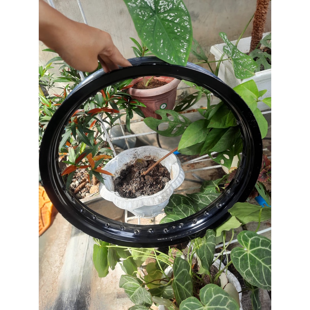 Velg Takasago Excel Asia ori CRF 150 belakang hole 32 second