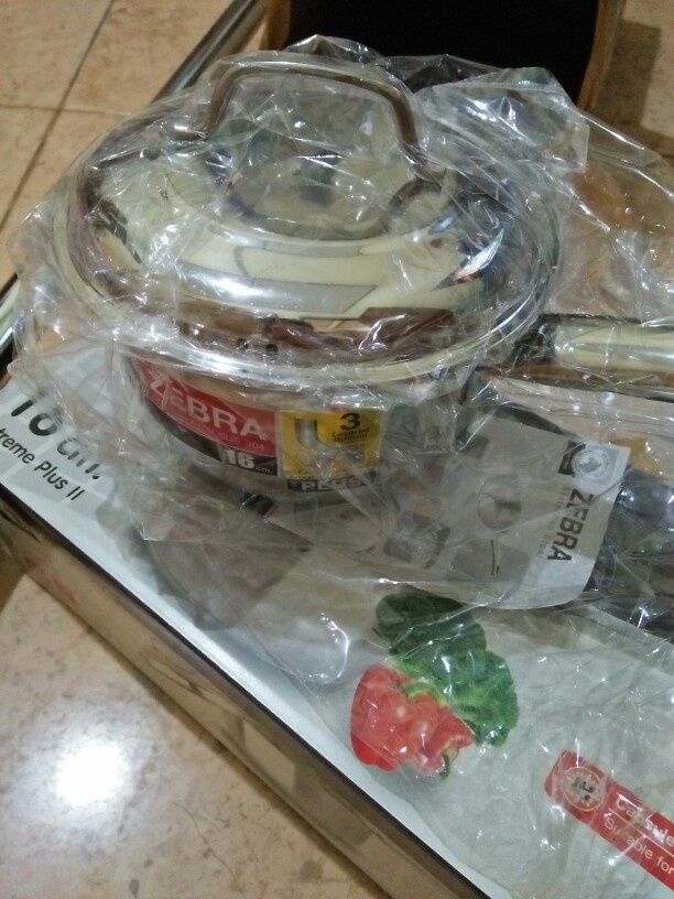 Zebra Panci Gagang 16cm Extreme Plus Ii 166350 (00230.00102)