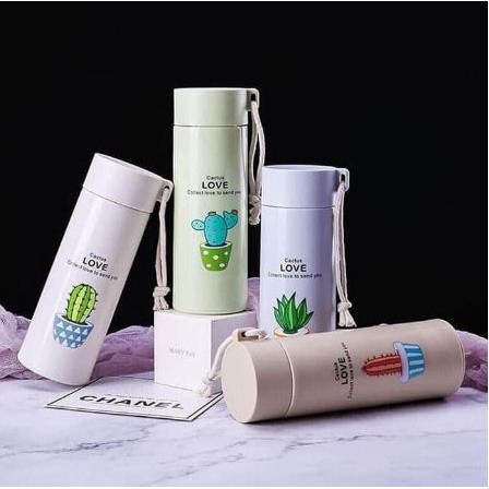 kaktus botol minum kaca tali cactus souvenir | SISA PUTIH