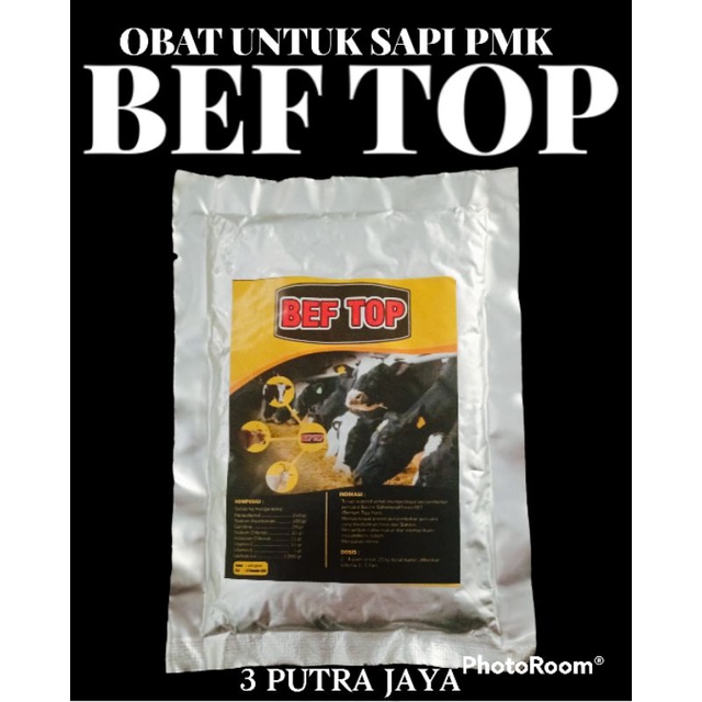 BEF TOP MENGOBATI SAPI PMK menambah nafsu makan