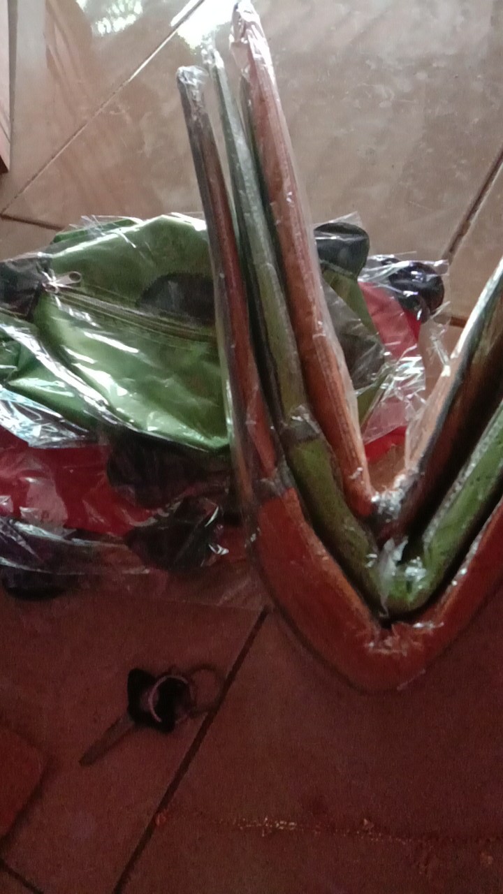 Storage Box Underwear