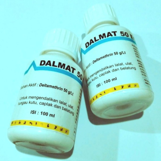 DALMAT OBAT KUTU 50EC OBAT KUTU LALAT CAPLAK BELATUNG DALMAT 100ML