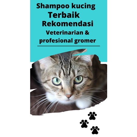 shampoo kucing &amp; anjing Anti kutu/anti jamur/pelembut bulu/netto: 1 liter