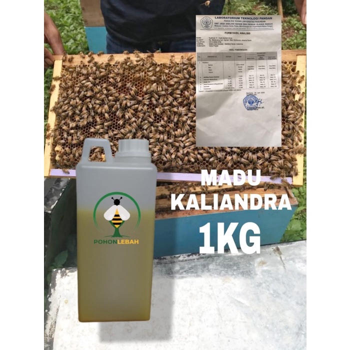

(BISA COD) madu kaliandra,honey caliandra,raw honey.netto 1kg