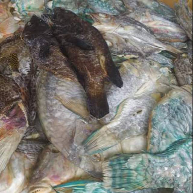 

Ikan asin pulau