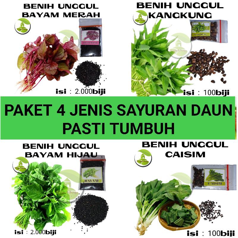 Paket 4 Jenis Benih Sayuran Daun Daunan Mudah Tumbuh Paket Hemat Sayuran