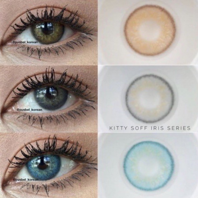 kitty soff gray brown blue softlens original korea