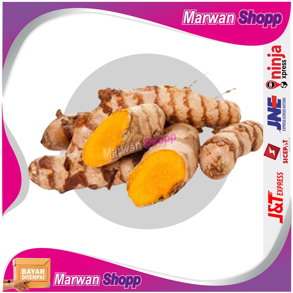 

KUNYIT KONENG KUNIR SEGAR 1 kg HERBAL ALAMI MARWAN SHOPP