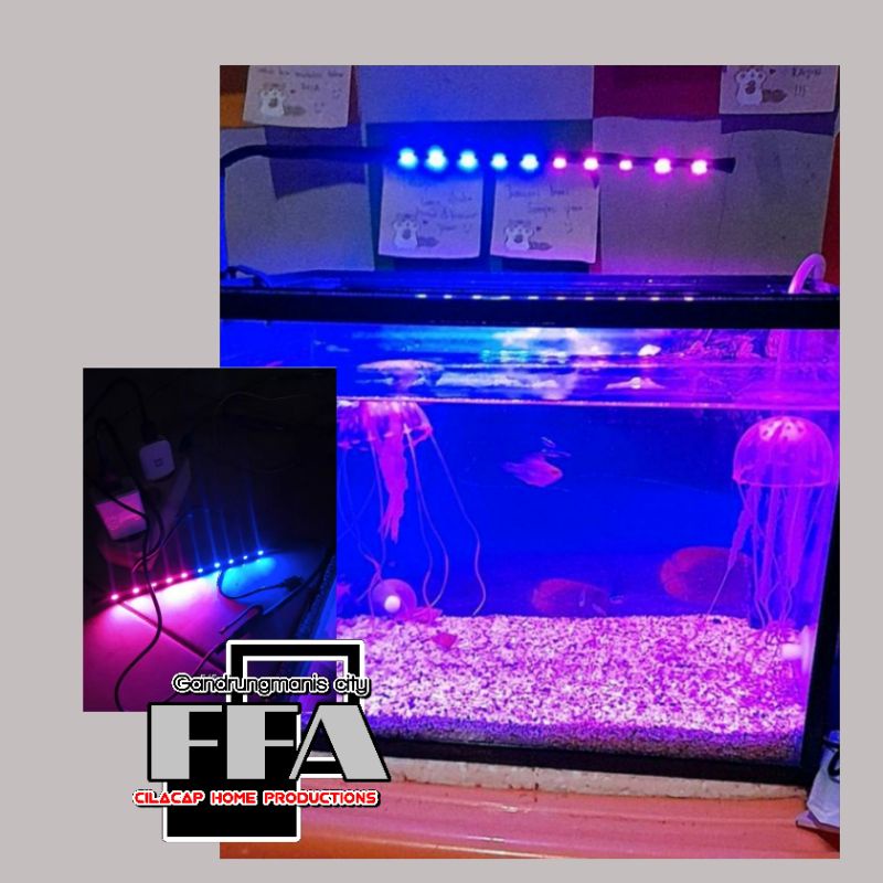 Lampu Aquarium LED Double Colour Biru Pink 20 Cm