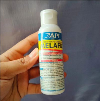 MELAFIX 100 ml / ORIGINAL USA / PROFESSIONAL STRENGTH / OBAT IKAN