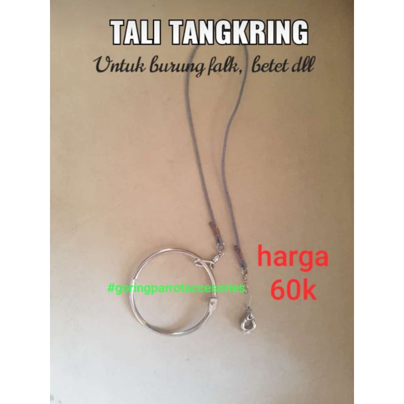 1 set ring borgol dan tali burung falk ysc gcc sc
