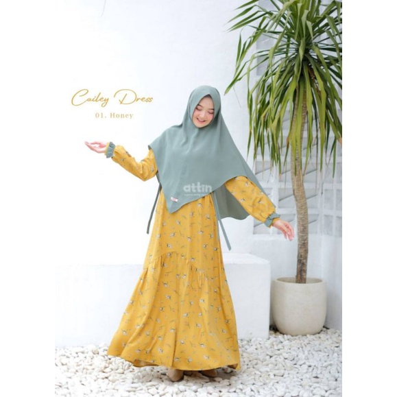 CAILEY DRESS BY ATTIN