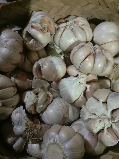 Bawang Putih Honam/ Banci Bersih 1 Kg/1000gr