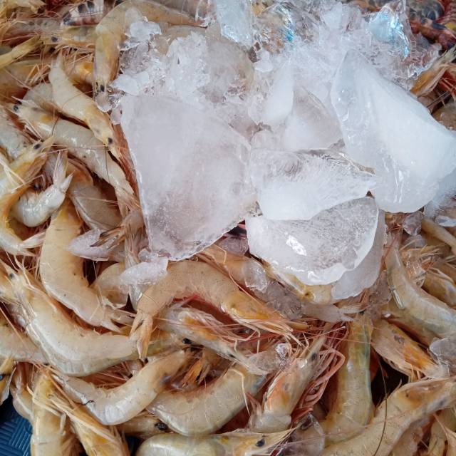 

Seafood