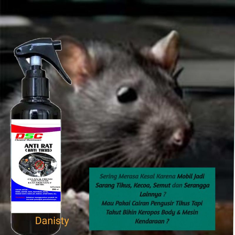 Anti RAT DSC pengusir tikus /cicak/kecoak/semut/250 mili rat penolak tikus rumah