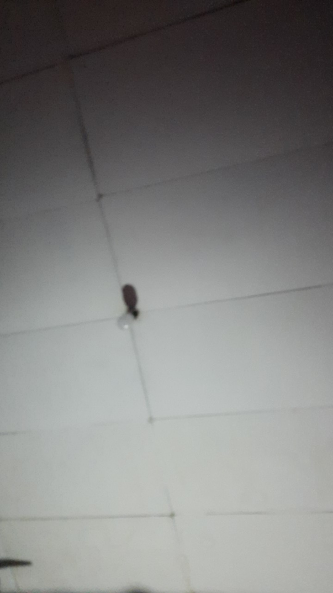 Surajaya Cabut Sogan Kemeja Batik Pria Full Furing Katun Cabut Primisima