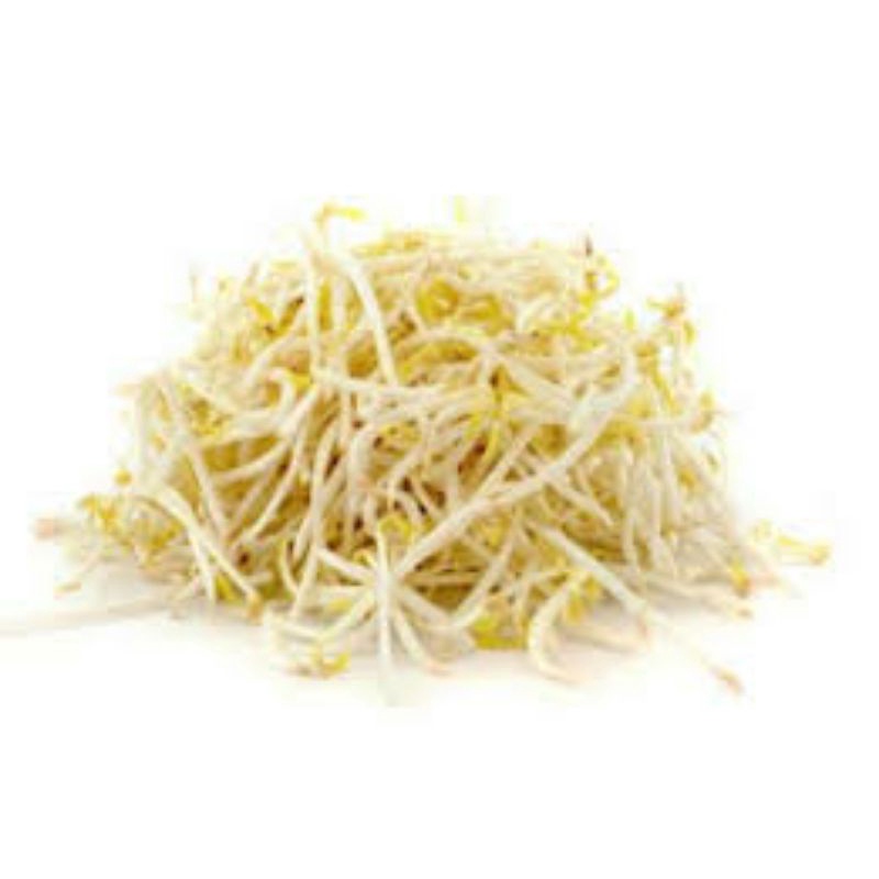 

toge sayuran segar bandung 250gr