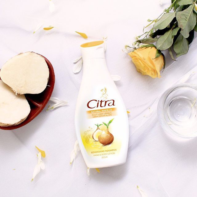 Citra Hand &amp; Body Lotion ALL Varian