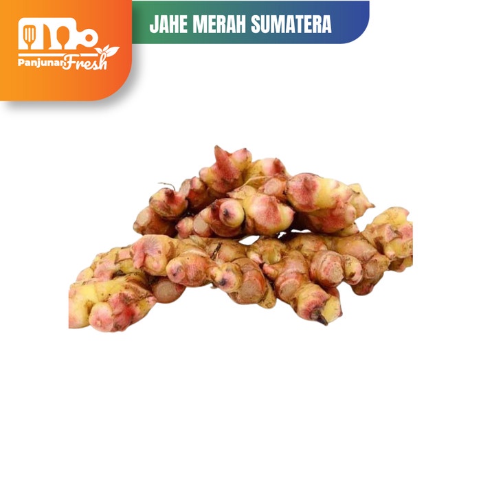 

Jahe Merah Sumatera Segar Dan asli 250 Gram