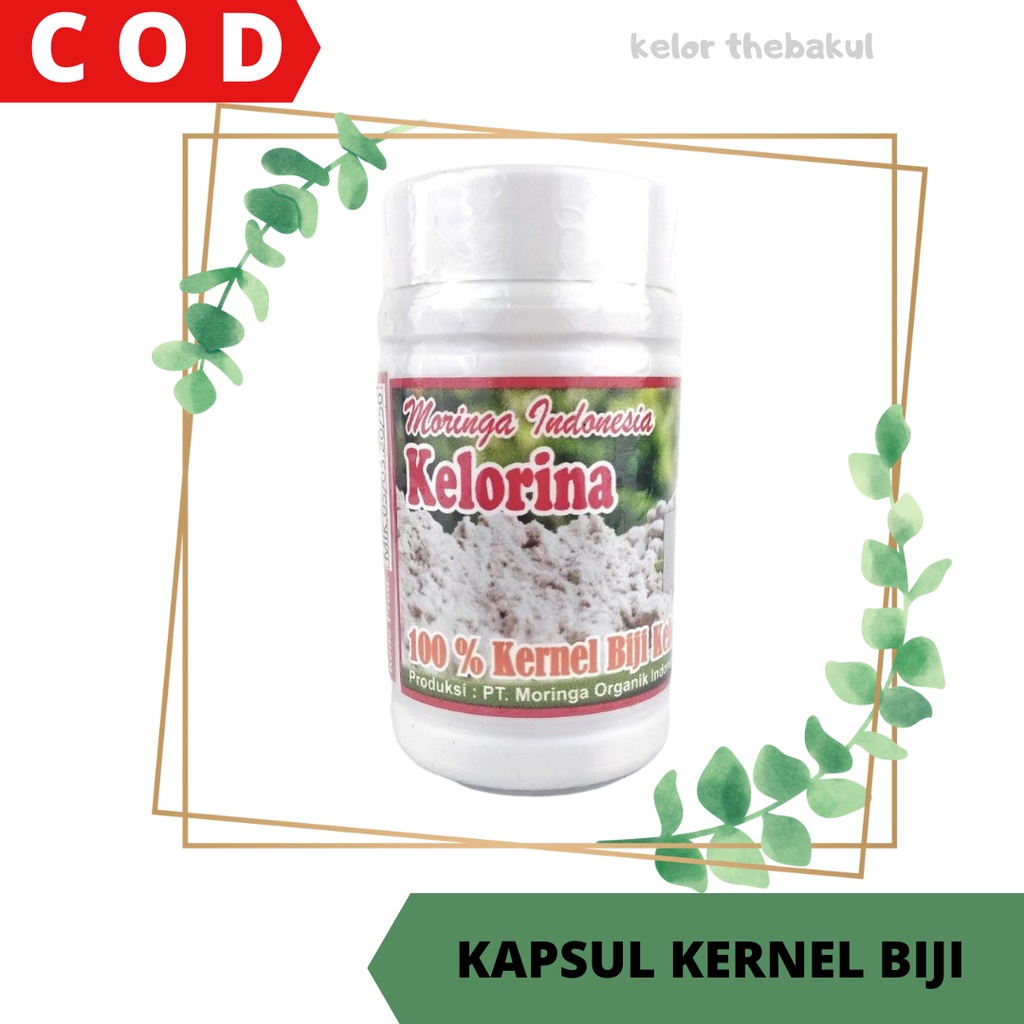 READY STOK Siap Kirim Kelorina Kapsul Kernel Biji Kelor Kemasan 50 kapsul