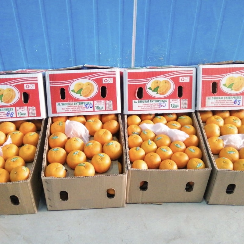 

JERUK KINO 10KG SWEET MANDARIN IMPORT KINO BUAH JERUK KINO FRESH HAMPERS IMLEK