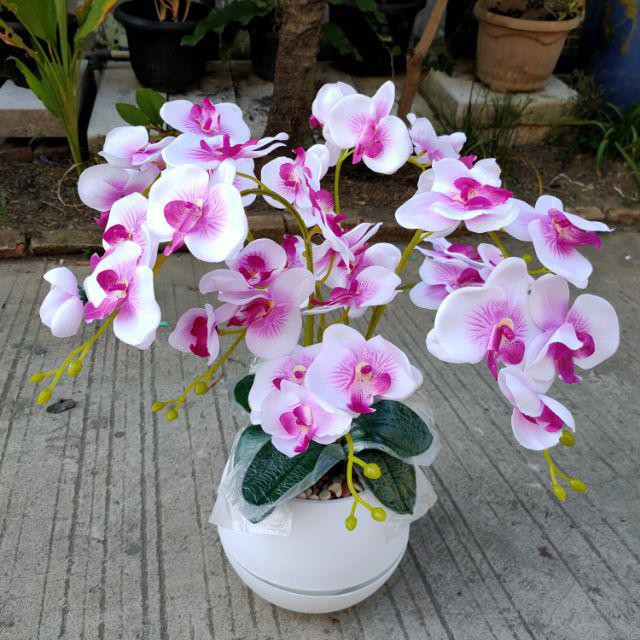 BUNGA ANGGREK LATEX JUMBO POT BOLA Tanaman Artificial Palsu Plastik Besar Hiasan Dekorasi Ruang Tamu