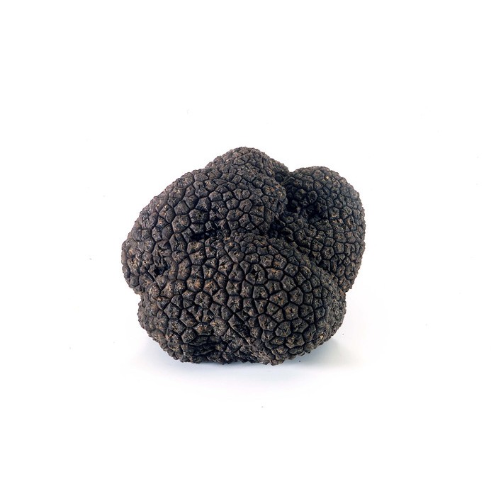 

Whole Black truffle mushroom From Italy 40 gr