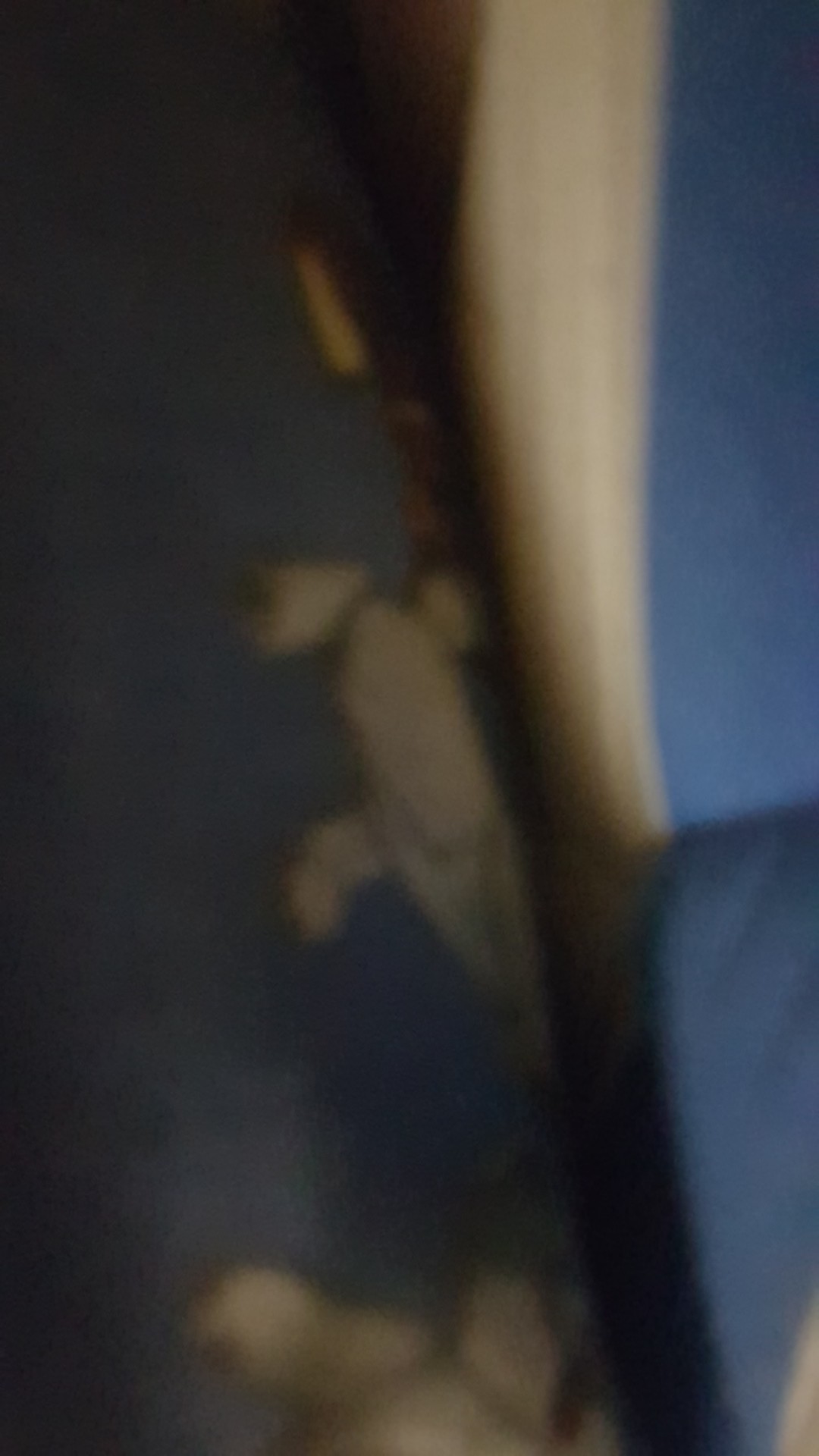 Cetakan Ager Valentin Bolu Kukus Brownies Kukus Asvita