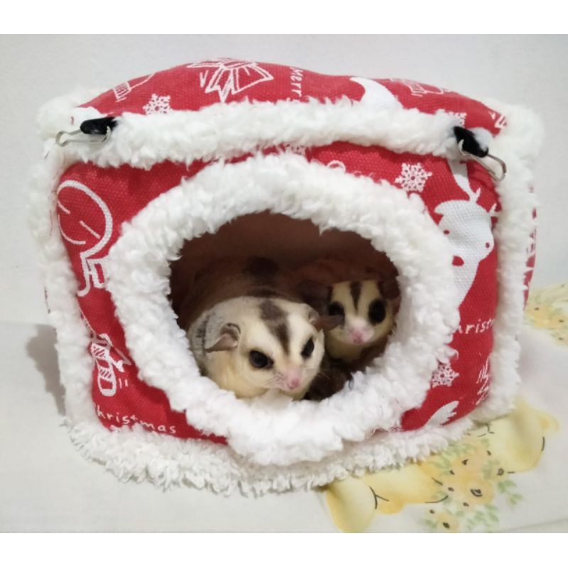 Sleeping Pouch Import Sugar Glider Hamster Tupai Landak Mini Marmut  Chinchilla