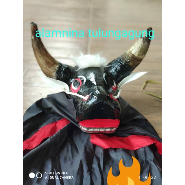 Banteng Bantengan sungut asli sapi