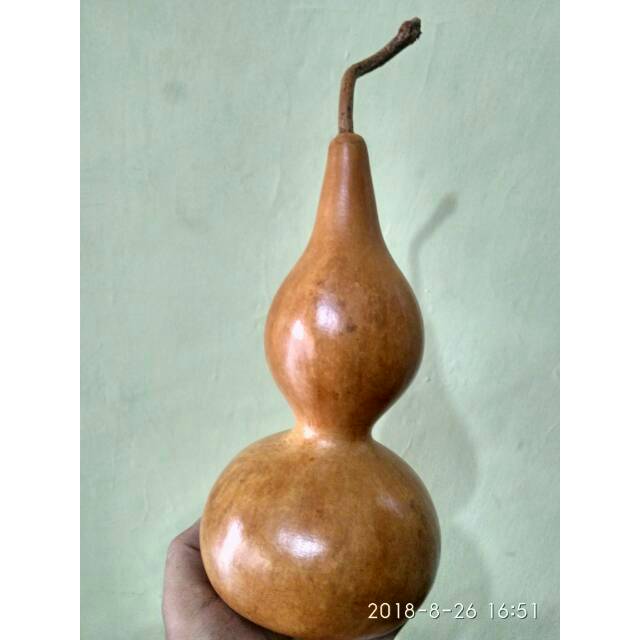 Botol labu kering natural