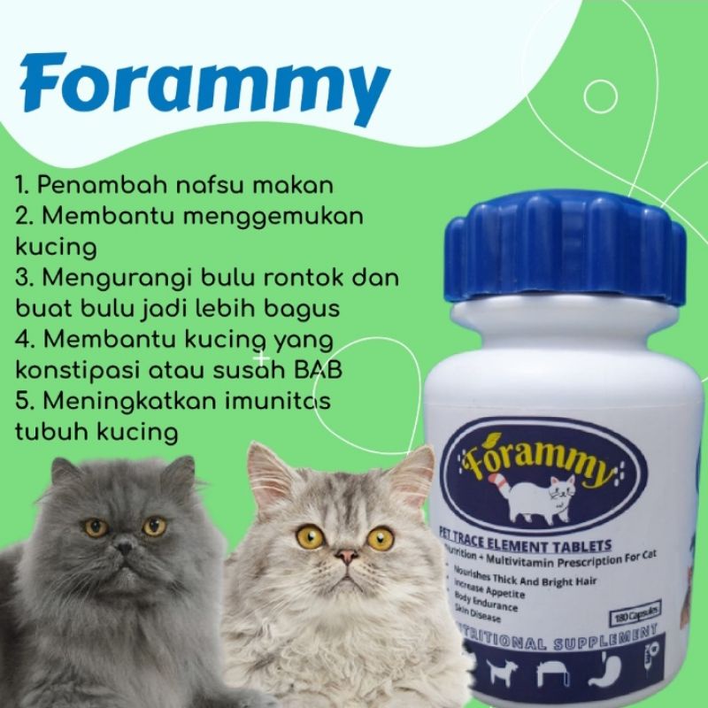 VITAMIN SUPLEMEN OBAT TABLET AMPUH ECER 1 PROBLEM KITTEN JAMUR PARASIT TERMURAH