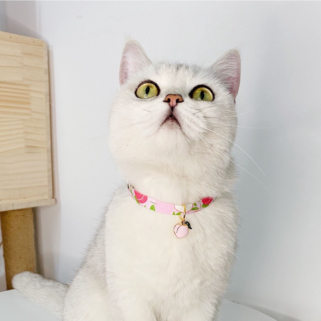 Kalung Collar Adjustable Dengan Buckle Bentuk Buah Nanas Strawberry Untuk Anjing / Kucing