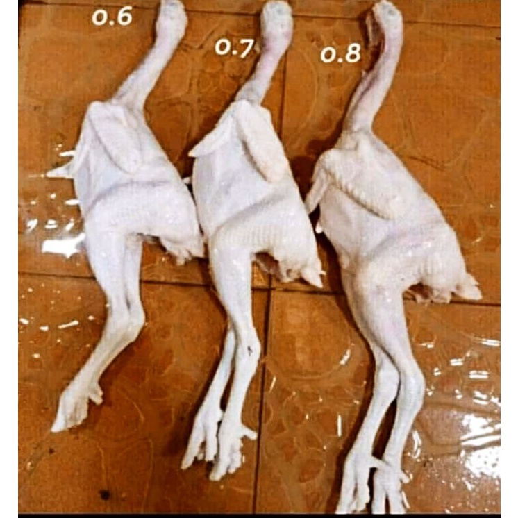

ayam karkas
