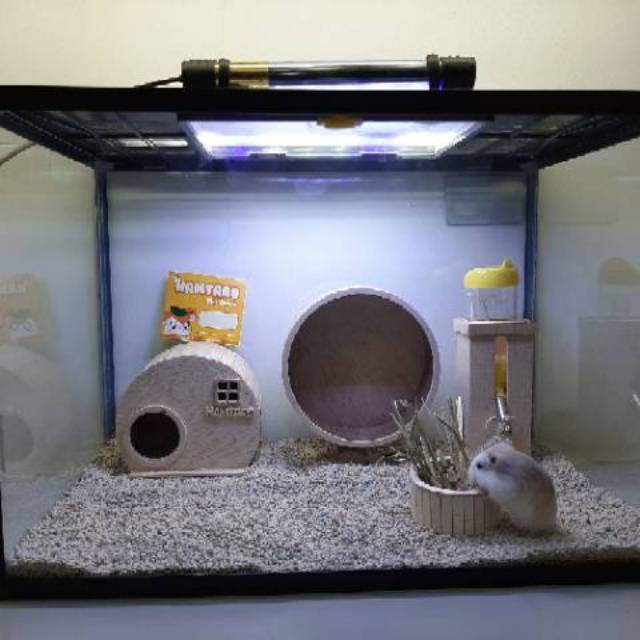 hamster aquarium